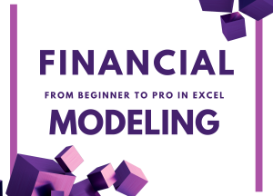 FINANCIAL MODELING FOR BEGINNERS